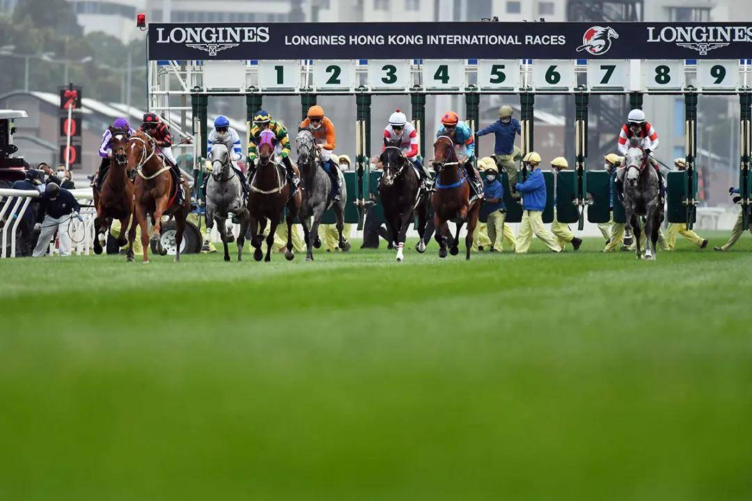 2024新澳門馬會傳真，探索澳門賽馬運動的未來