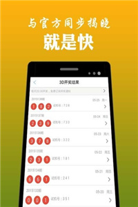 澳門六開獎結果2023開獎記錄查詢網站——數據與樂趣的交匯點