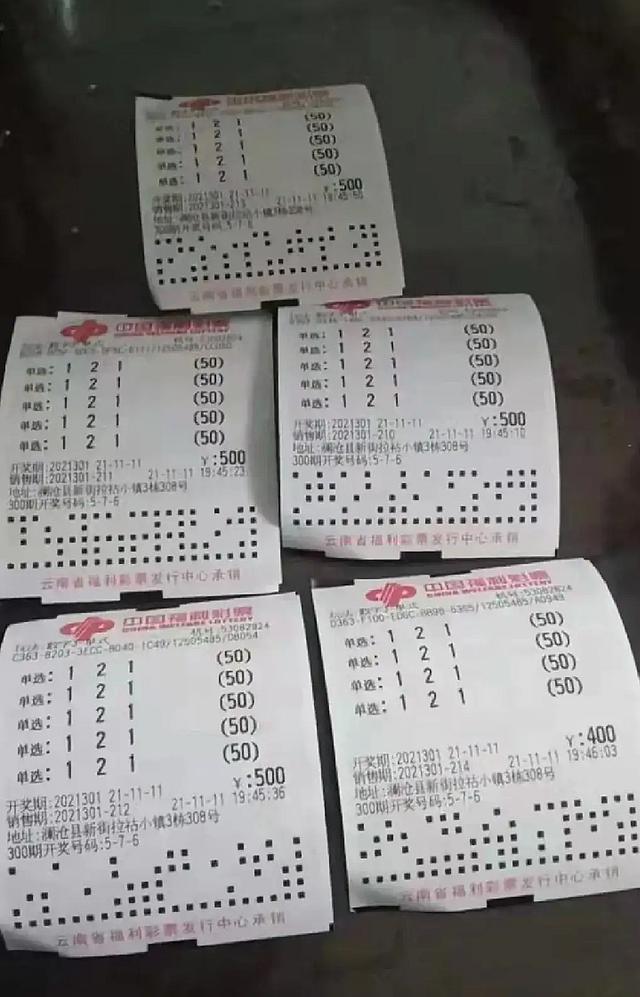 白小姐一碼中期期開獎結果查詢，揭秘彩票背后的秘密