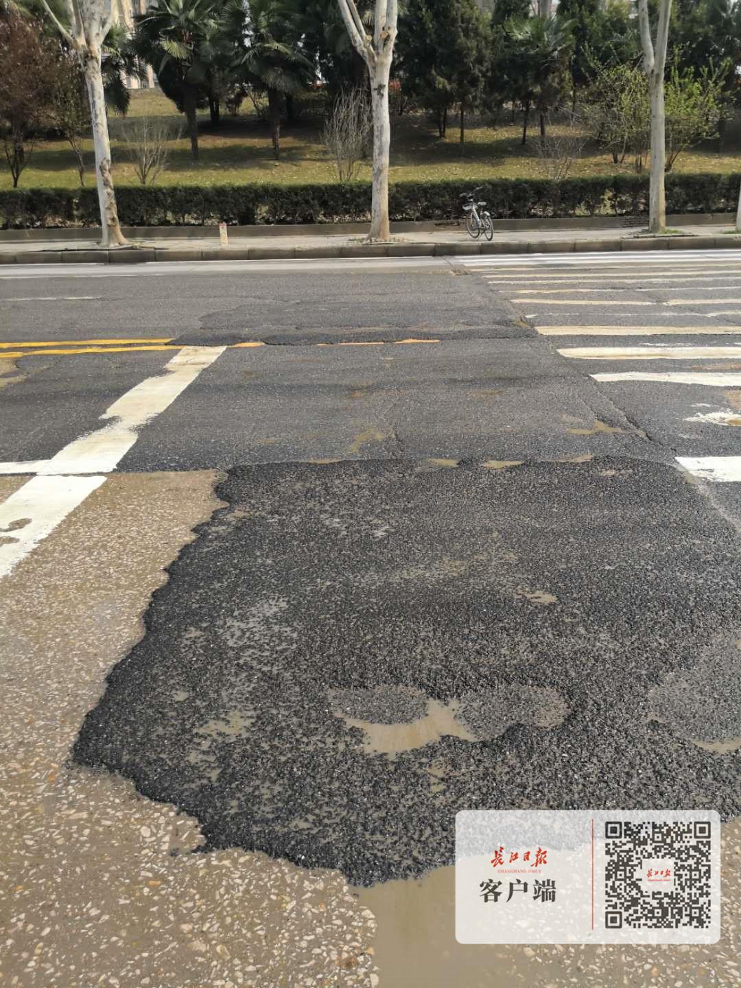 最新堤角長江大橋設計方案研究