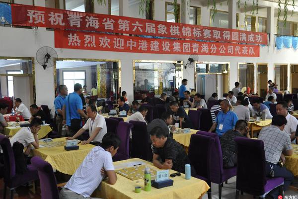 王中王一肖一特一中一澳，探索多元領域的獨特魅力