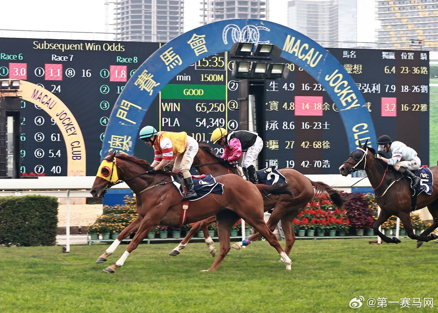 探索香港賽馬，2024全年免費資料指南