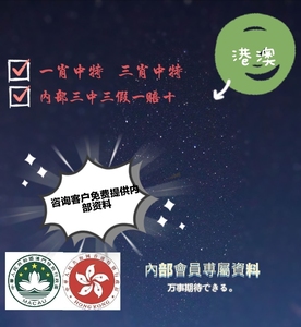 最準一肖一碼一一香港澳王一王，揭秘背后的秘密