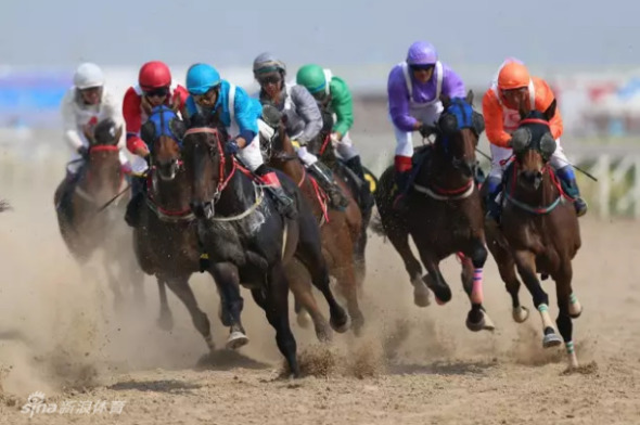 關于澳門特馬今晚開獎一與違法犯罪問題的探討
