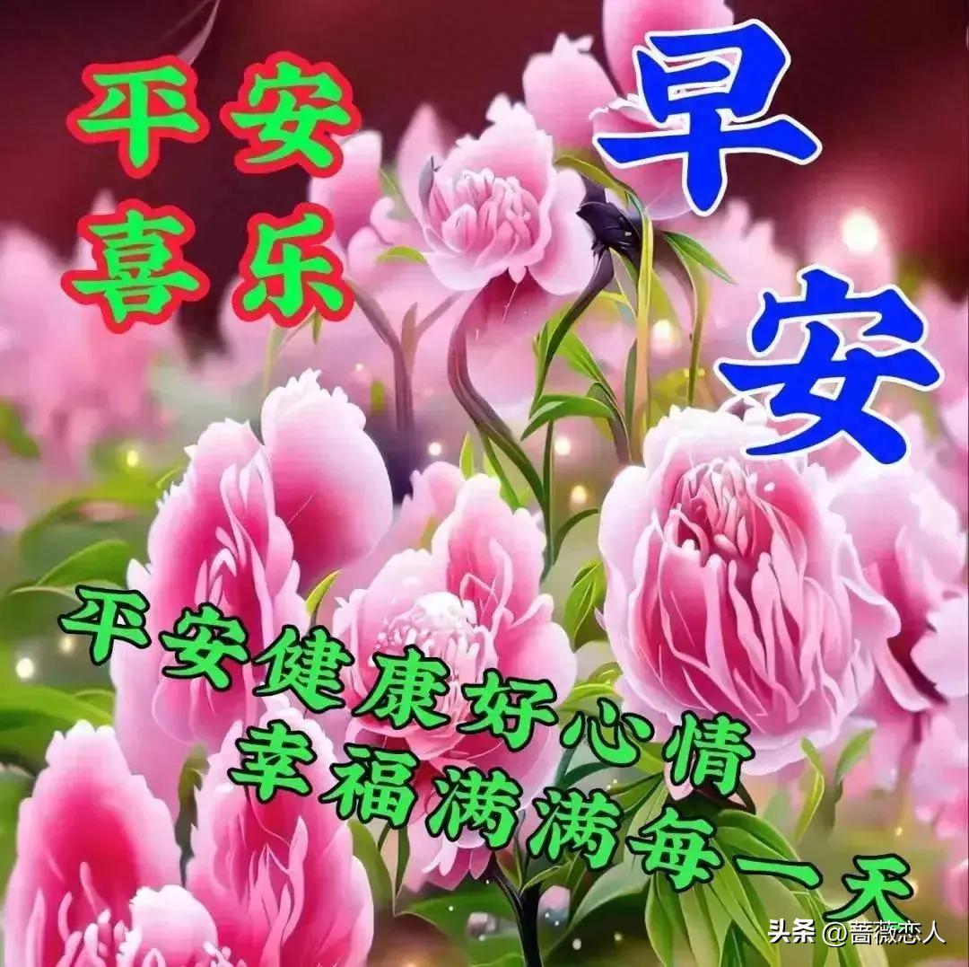 關于天天彩資料大全免費的探討與啟示——以2024年為中心的觀察視角