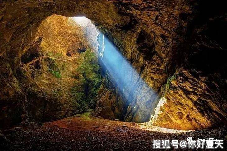 新澳門今期開獎(jiǎng)結(jié)果記錄查詢，探索彩票世界的神秘面紗