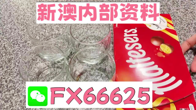 關于澳門正版資料的最新動態與探討