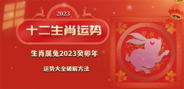 揭秘最準一肖一碼精準資料，探尋幸運之碼的奧秘