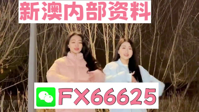 管家婆最準一碼一肖，揭秘彩票背后的秘密與期待（第9387期）