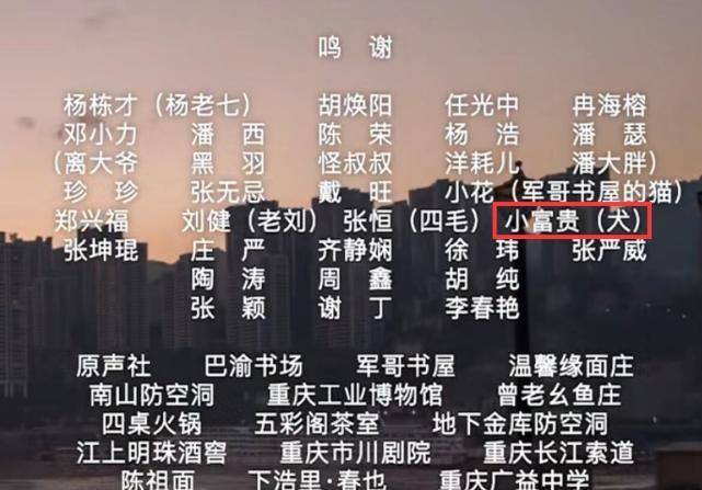 揭秘最準一肖，探尋百分之百準確精準之含義