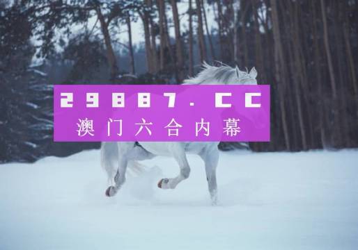 新澳門開獎結果，探索與解析