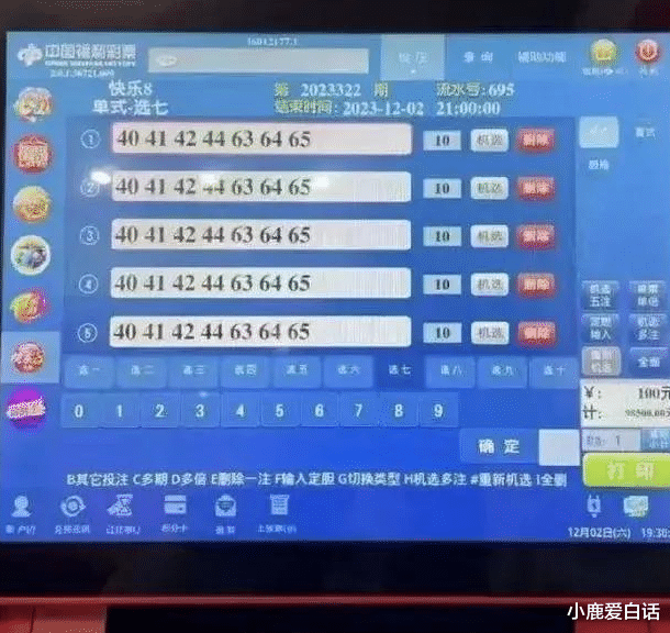 大眾網官網與澳門開獎結果，探索與解讀