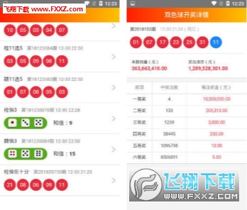 澳門天天彩正版免費掛牌查詢，揭示背后的犯罪問題