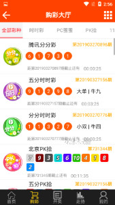 澳門精準王中王三肖三碼，揭示犯罪問題及其危害