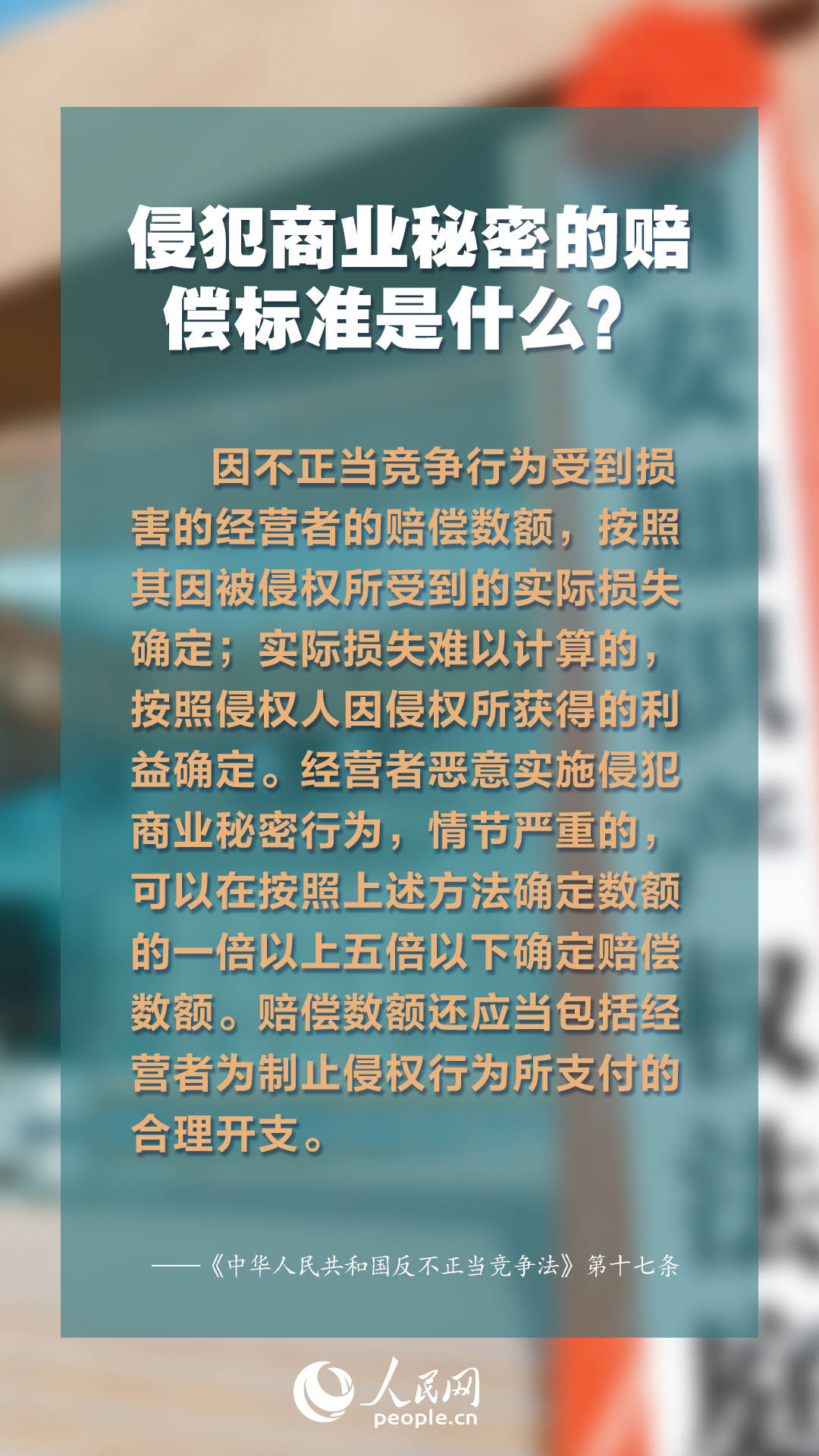 正版資料免費(fèi)綜合大全，探索知識(shí)寶藏的門(mén)戶