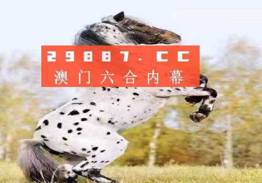 澳門正版精準四不像，探索與解析