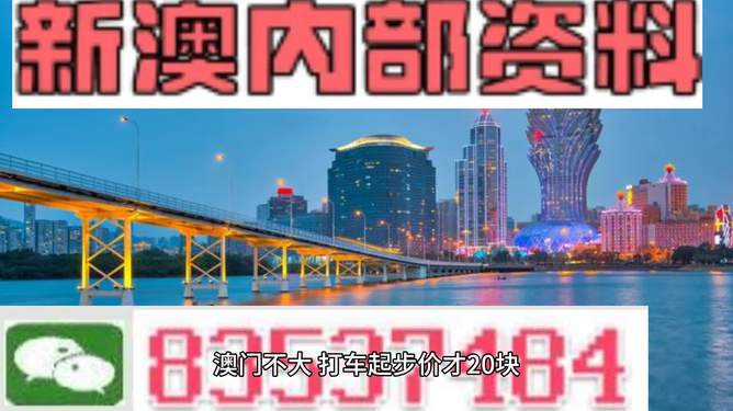 新澳門天天免費(fèi)資料大全，探索與揭秘