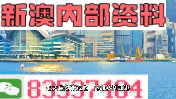新澳精準(zhǔn)資料免費(fèi)提供，探索第221期的奧秘與價值