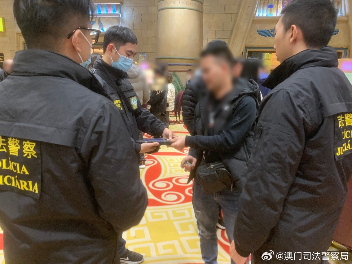 澳門天天開好彩背后的秘密與挑戰，一個關于違法犯罪的故事