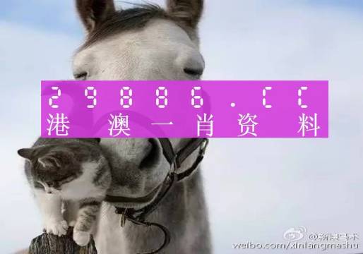 今晚一肖一碼澳門一肖四不像，探索神秘與理性的交匯點