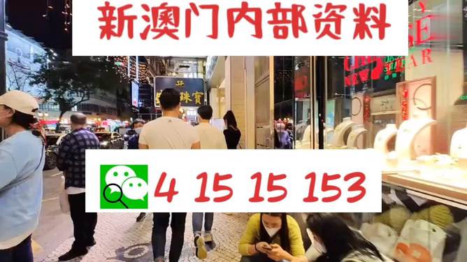 新澳門特免費資料大全管家婆，探索澳門的新機遇與挑戰
