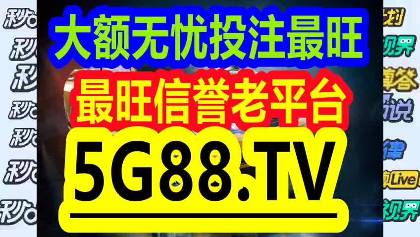 管家婆最準一碼一肖，揭秘彩票背后的秘密與期待