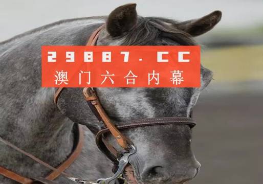 澳門一肖一碼一中一，探索與解讀