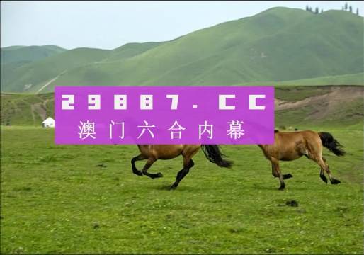 探索澳門跑狗圖的魅力，2024正版澳門跑狗圖最新版今天