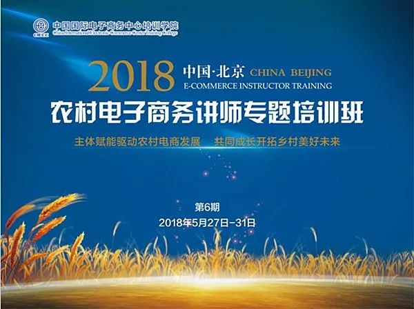 新澳六叔精準資料大全，探索與解析