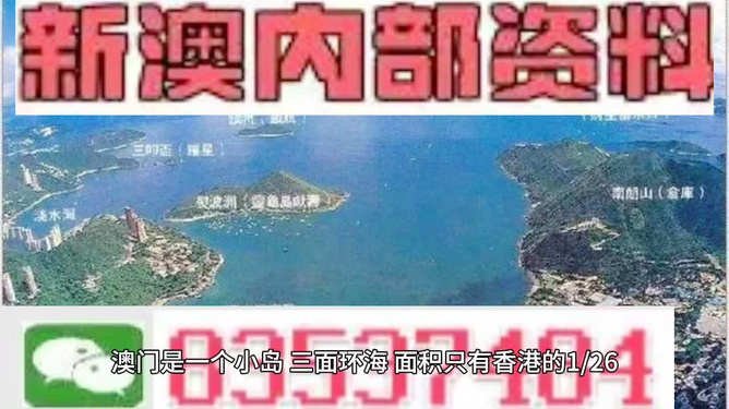 新澳門最精準確精準龍門，探索與解讀
