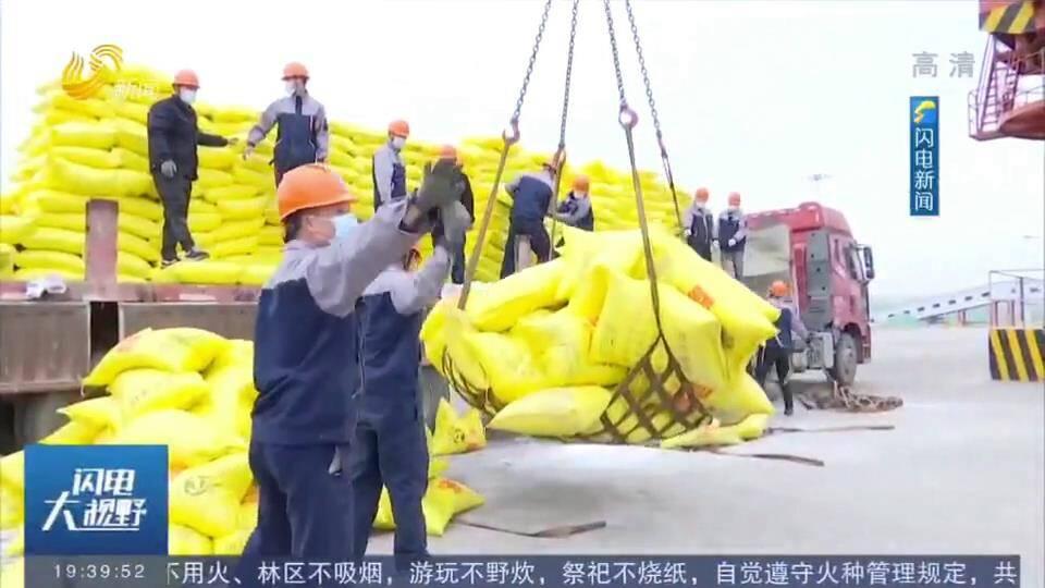 山東瑞星尿素最新報價動態與市場分析