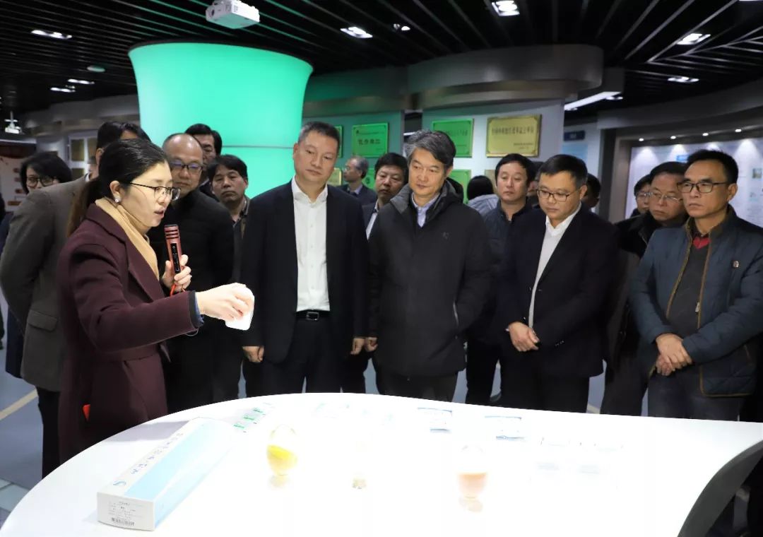高淳最新人事任免動態