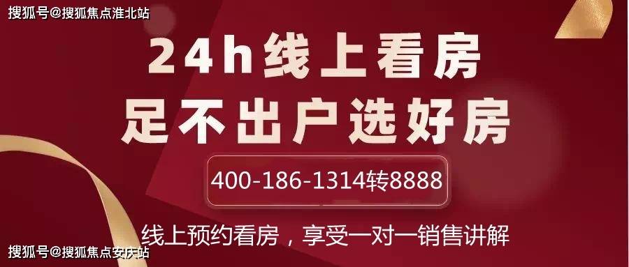 管家婆必出一中一特，深度解析與探討