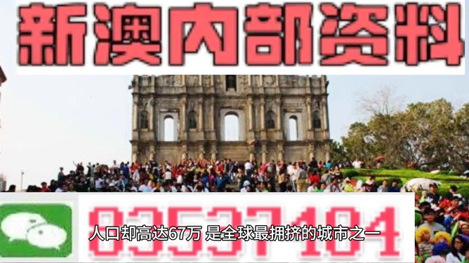 澳門正版資料免費大全新聞，探索與解讀