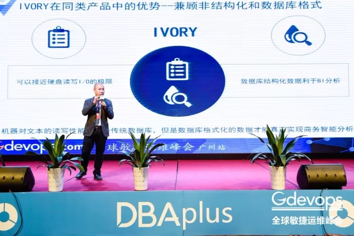揭秘2024新奧資料，免費獲取精準資源，助力你的成功之路