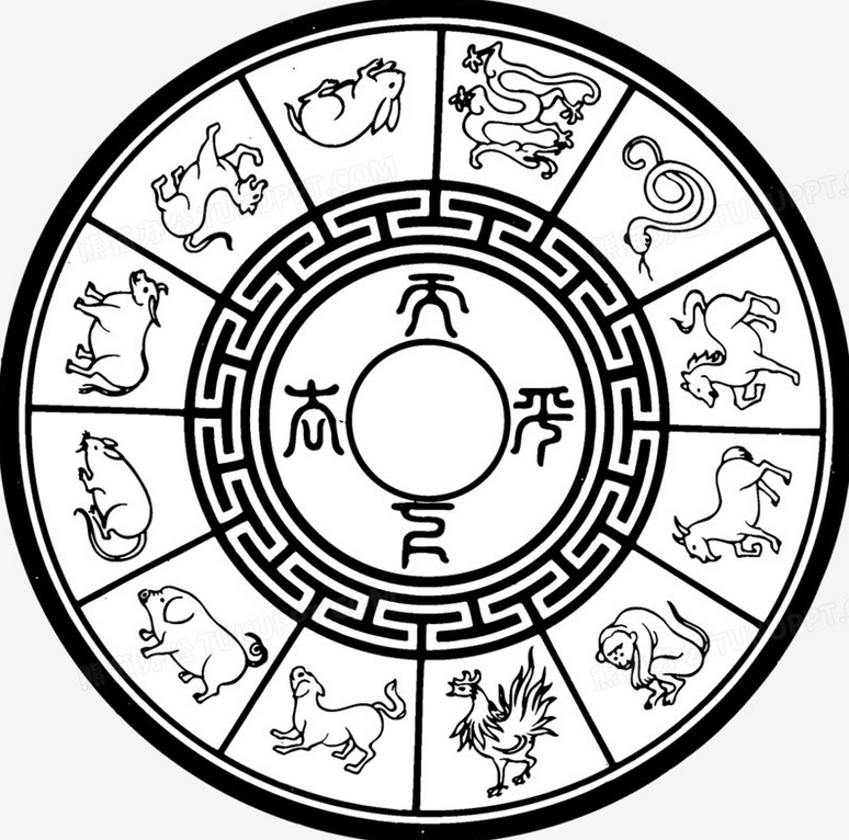 一肖一碼一一肖一子，探尋神秘文化符號背后的故事