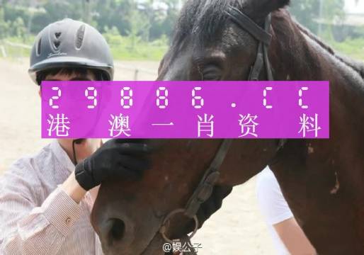 澳門今晚必中一肖一碼恩愛一生，探尋幸運與愛情的奇妙交融