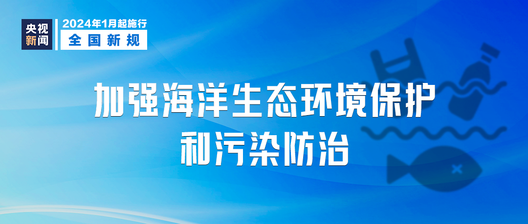 新澳門三期必開一期，犯罪問題的探討與應對