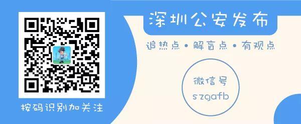 揭秘最準一肖一碼，真相背后的故事與免費之道