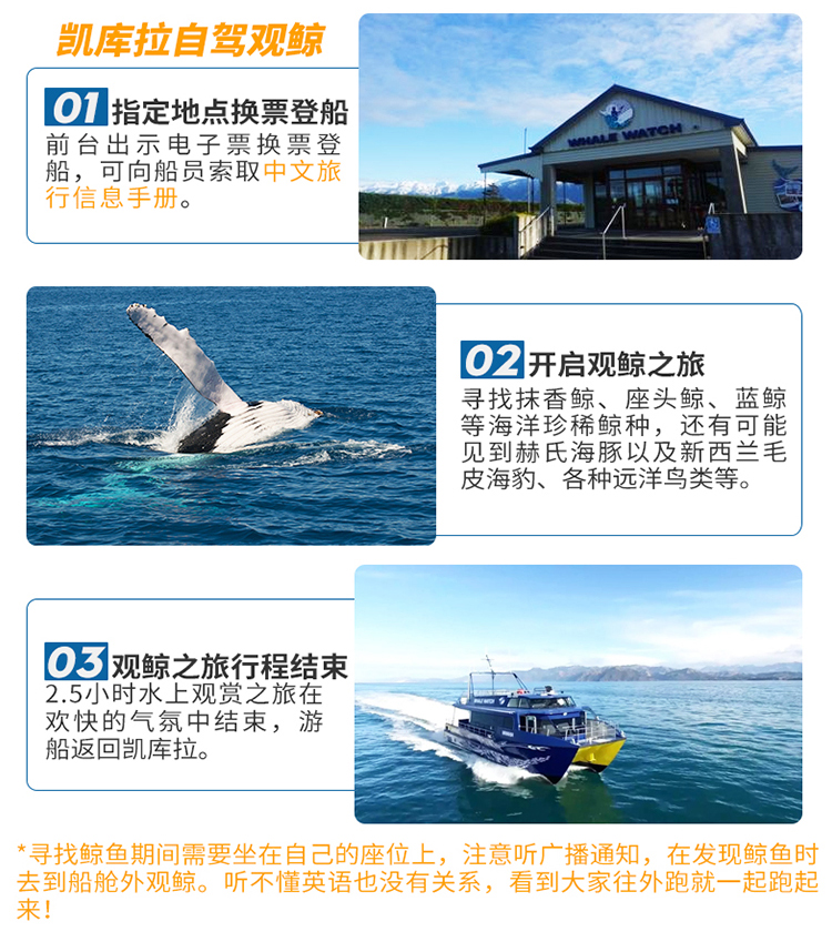 探索香港，免費資料的海洋，2024全年指南