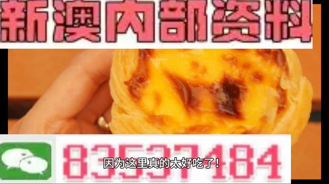 關于新澳門免費正版資料的探討——警惕違法犯罪問題