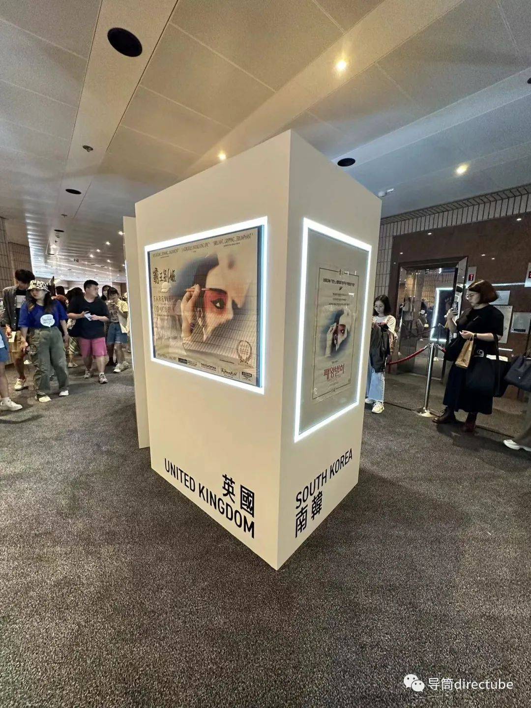 香港內(nèi)部資料免費(fèi)期期準(zhǔn)，揭示背后的犯罪問題