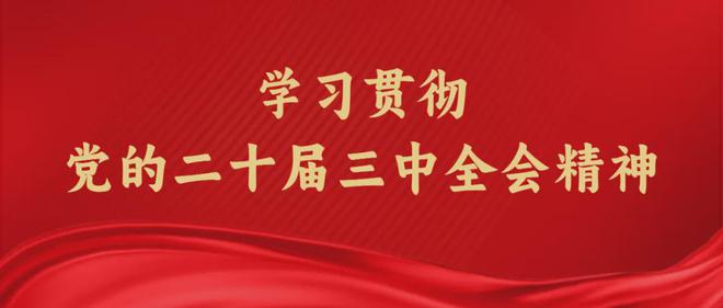 澳彩開獎結(jié)果2024年今晚開獎，探索彩票背后的魅力與期待