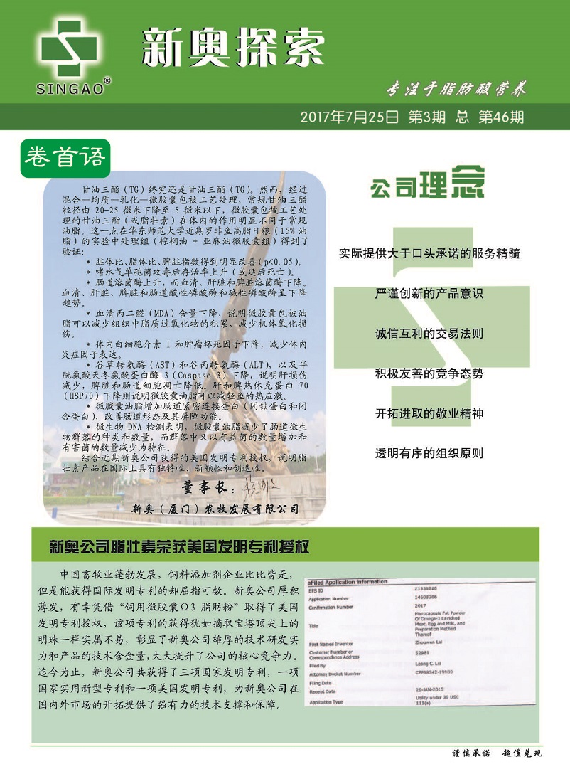 揭秘新奧精準(zhǔn)資料免費大全，深度解析與實用指南（第078期）